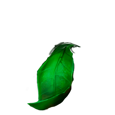 A part of the animated logo, the name is leaf_1/leaf_1_bottom